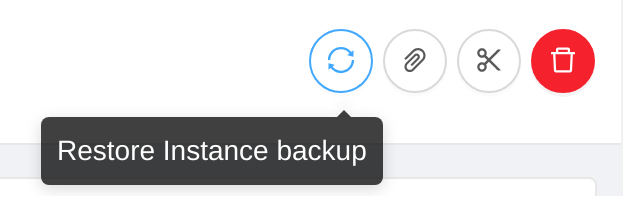 restore instance backup